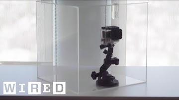 See Everything That Happens When a Package is Shipped | WIRED