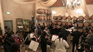 Reflections - Mulan - The Urbina Chamber Orchestra
