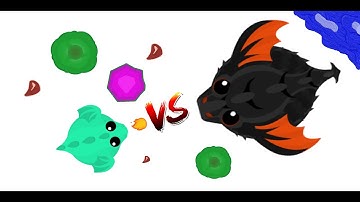 VS King Dragon (19 wins) // 1v1 // arena // mope.io