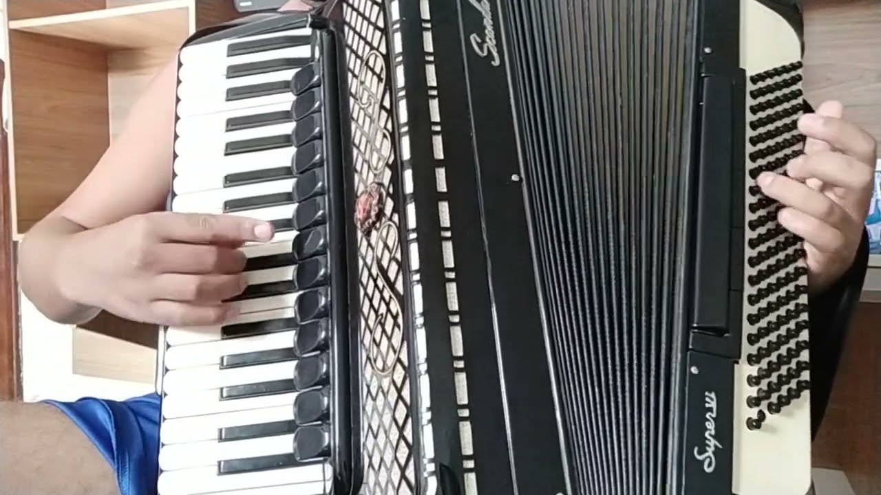 Vídeo Aula Acordeon 