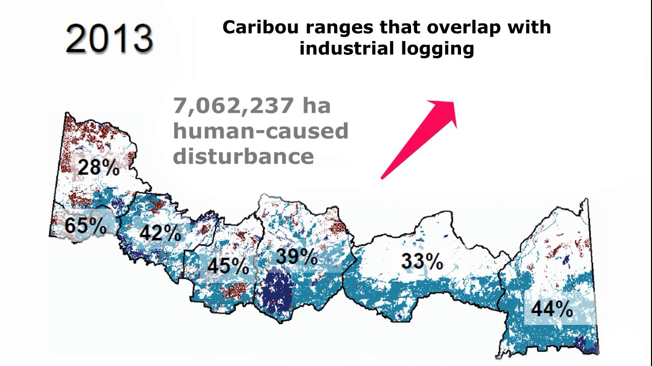 environmental tech Cumulative woodland caribou habitat disturbance increase in Ontario, 2011-2015