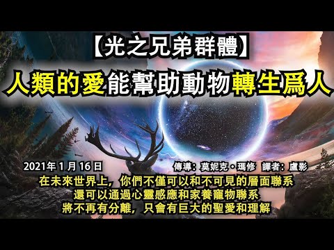 【光之兄弟群體】《人類的愛能幫助動物轉生爲人》在未來世界上，你們不僅可以和不可見的層面聯系，還可以通過心靈感應和家養寵物聯系，將不再有分離，只會有巨大的聖愛和理解