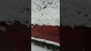 2019 Escape snowy coldstart (1-25-23)