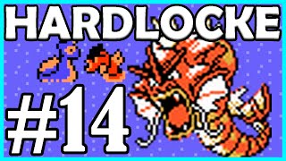 14 P4LIZAS A 14 SOLDADOS DEL TEAM ROCKET - Pokémon Cristal Hardlocke (Parte 14)