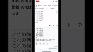 lol #funny #japanese #english #konenani #googletranslate