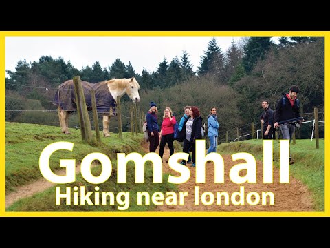 Leith Hill  🇬🇧   Holmwood to Gomshall walk | Hiking UK