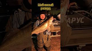 СУДАК на мандулу в ОКТЯБРЕ!!! #рыбалка #щука