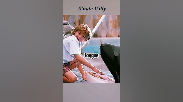 Boy became the trainer of this killer whale. #adventure #childrenmovie #viralvideo
