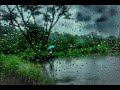 Raining in the forest of Puerto Rico - Lloviendo en el campo de puerto rico  - sonido del Coqui