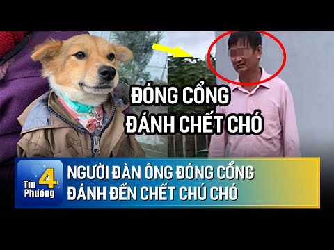 Video: Cách Mở Một Loạt Các Cổng