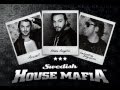 Ivan Gough & Feenixpawl ft. Georgi Kay - In My Mind (Axwell Mix)