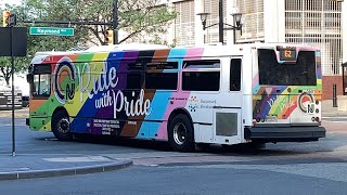 NJT 2010 NABI 40-SFW 416.15 #5601 (The Pride Bus) On The 62 at Newark Penn Station