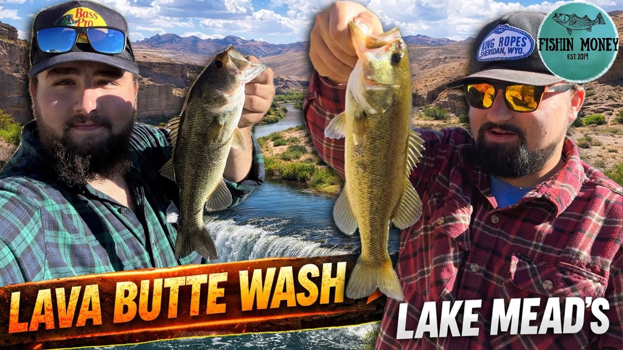 Рыбалка на окуня на озере Мидс, в районе Лава-Бьютт-Уош | Лас-Вегас-Уош, ниже озера Лас-Вегас