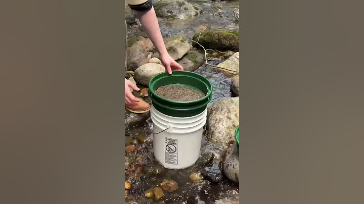 Testing our Local Creek for GOLD #goldhunting