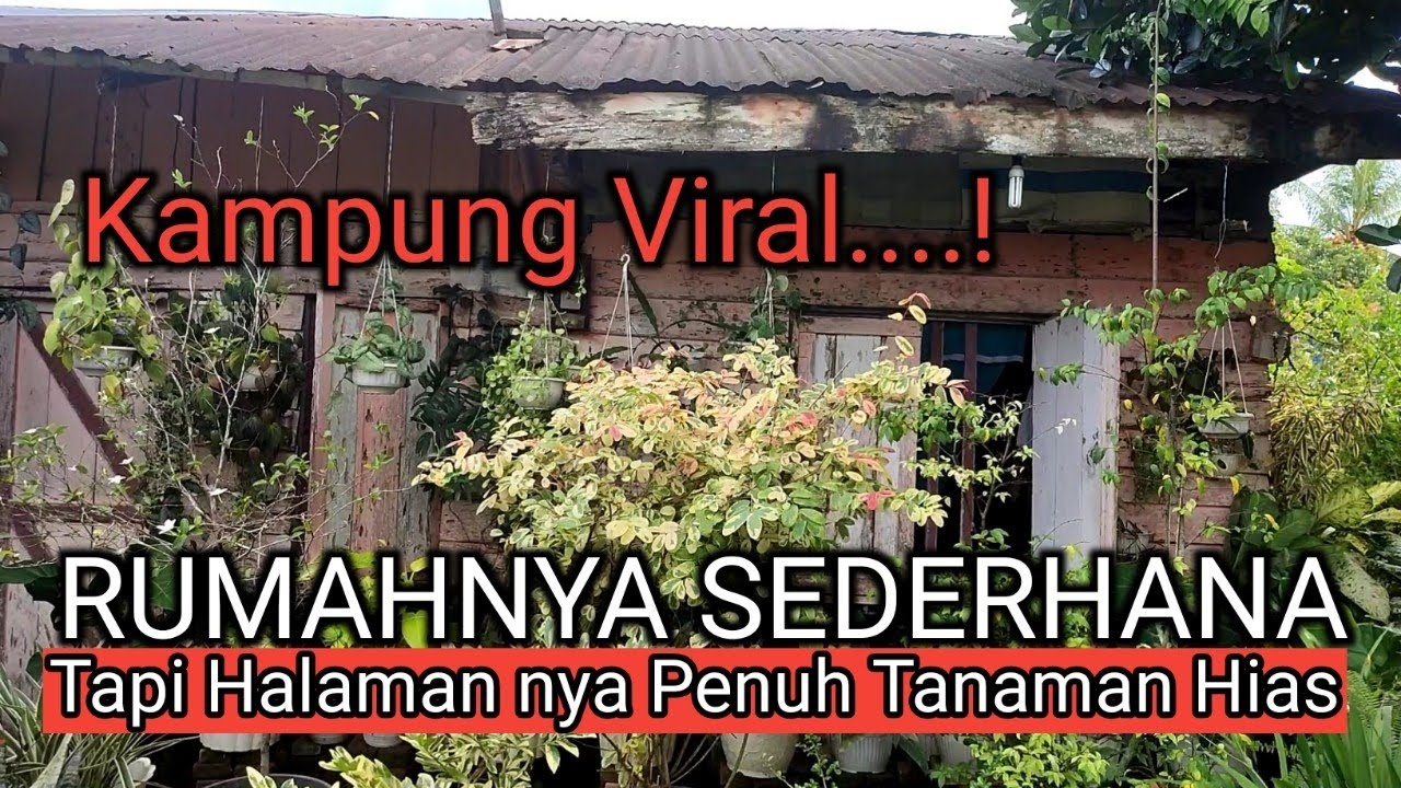 Kampung ini Wajib Viral, Rumahnya Sederhana, Tapi Halamanya Penuh Tanaman Hias |  #87