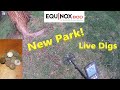 Detecting old parks with Minelab Equinox 800! With settings and live digs!