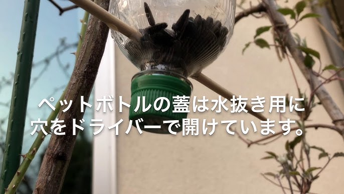 野鳥自動給餌器へ餌補充 Youtube 野鳥自動給餌器へ餌補充 Youtube
