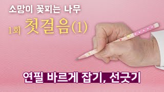 [소망이 꽃피는 나무] 1회 첫걸음(1) 연필 바르게 잡기, 선긋기 / 성인문해학교