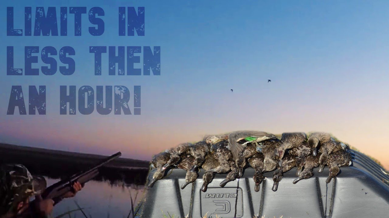 3 MAN LIMIT IN LESS THEN AN HOUR! NEBRASKA EARLY TEAL SEASON YouTube