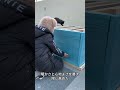 野良猫たちのための、新しいお家作り。#animals #動物