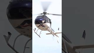 Airbus Helicopters AS355 F #helicopter #youtubeshorts #aviation #shorts #shortvideo #h125