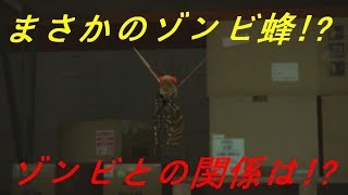 ゲーム実況11‐10　まさかのゾンビ蜂!?ゾンビとの関係性とは!?　デッドライジング（DEADRISING） screenshot 3