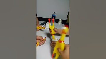 Thumbnail of Rubber Chicken EDM || ViralHog