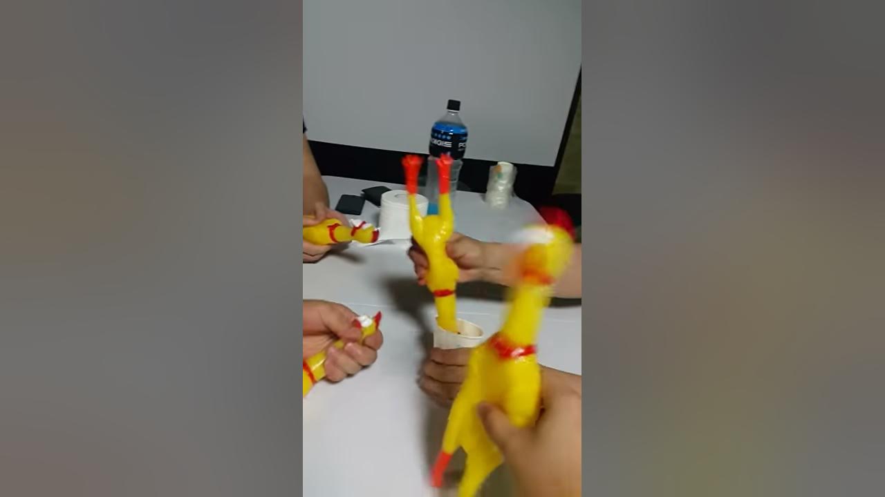 Rubber Chicken EDM || ViralHog