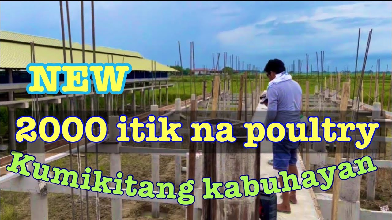 KUMIKITANG KABUHAYAN MULA SA MGA ITIK