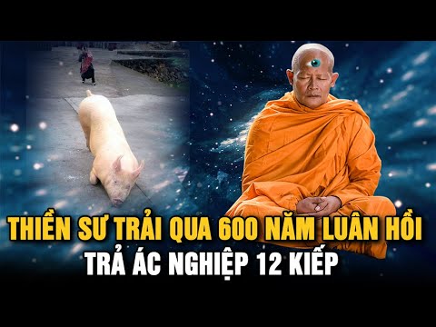 Video Người phụ nữ đầu thai 8 lần để trả thù cho con, cuối... - youtube