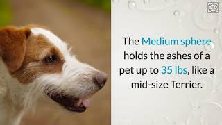 Where Can I Buy Pet Urns?