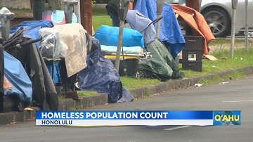 Point In Time 2024: A census of those experiencing homelessness in Hawaii