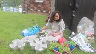 PLANTING VLOG + CAT GROOMING