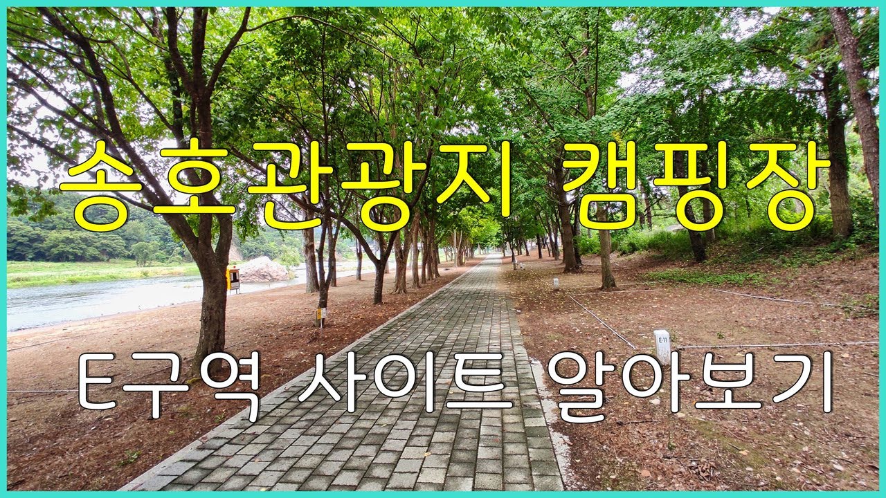 송호관광지 캠핑장 E구역 사이트 알아보기(지자체)