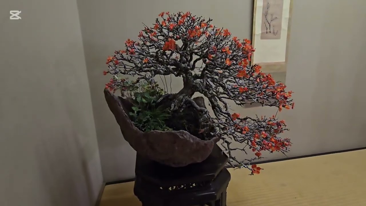 Day 7. Shunka-enter the imperial palace - YouTube