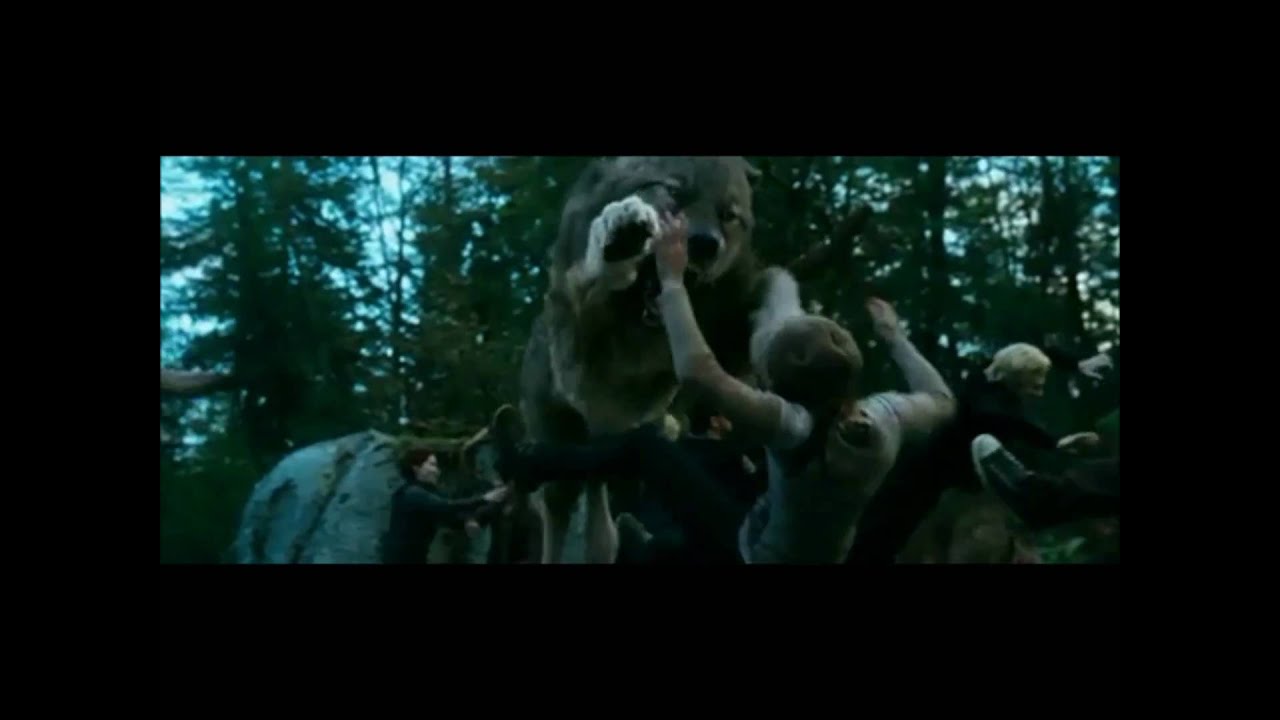 Twilight- Dj got us falling in love again