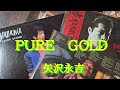 矢沢永吉/PURE GOLD【うたスキ動画】