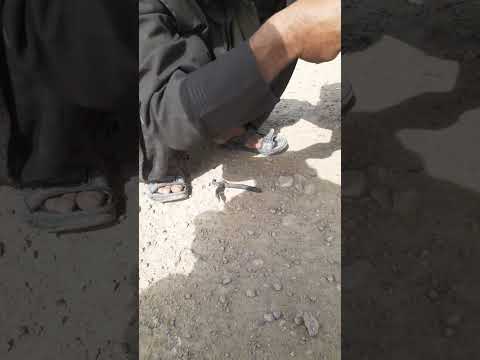 داهم ده ملګرو په خدمت کي یوه لنډه وډیو ده تاسو راسره وګورئ مینه والو چینل Saniubaidullahjan786