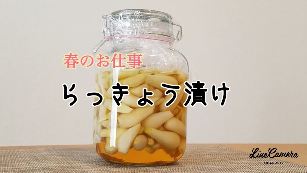 料理 春のお仕事 らっきょう漬け Youtube