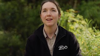 Ashleigh shares her love for the Waitākere Ranges | Matariki