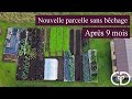 Ma nouvelle parcelle en culture sans labour après 9 mois