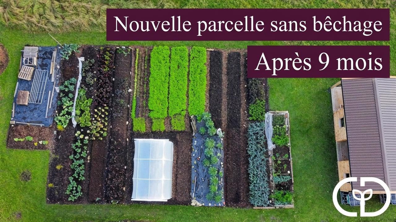 Ma nouvelle parcelle en culture sans labour après 9 mois