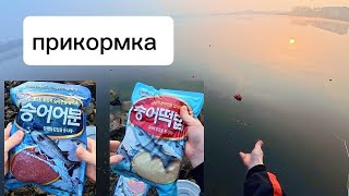 видео: Прикормил место и посмотрите что вышло! РЫБАЛКА НА ХАПУГУ В КОРЕЕ. #рыбалка #рыбалканаозере #fishing картинка: Прикормил место и посмотрите что вышло! РЫБАЛКА НА ХАПУГУ В КОРЕЕ. #рыбалка #рыбалканаозере #fishing