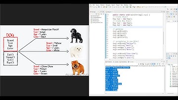 #Java #Class #Object #Programming #CodeExample