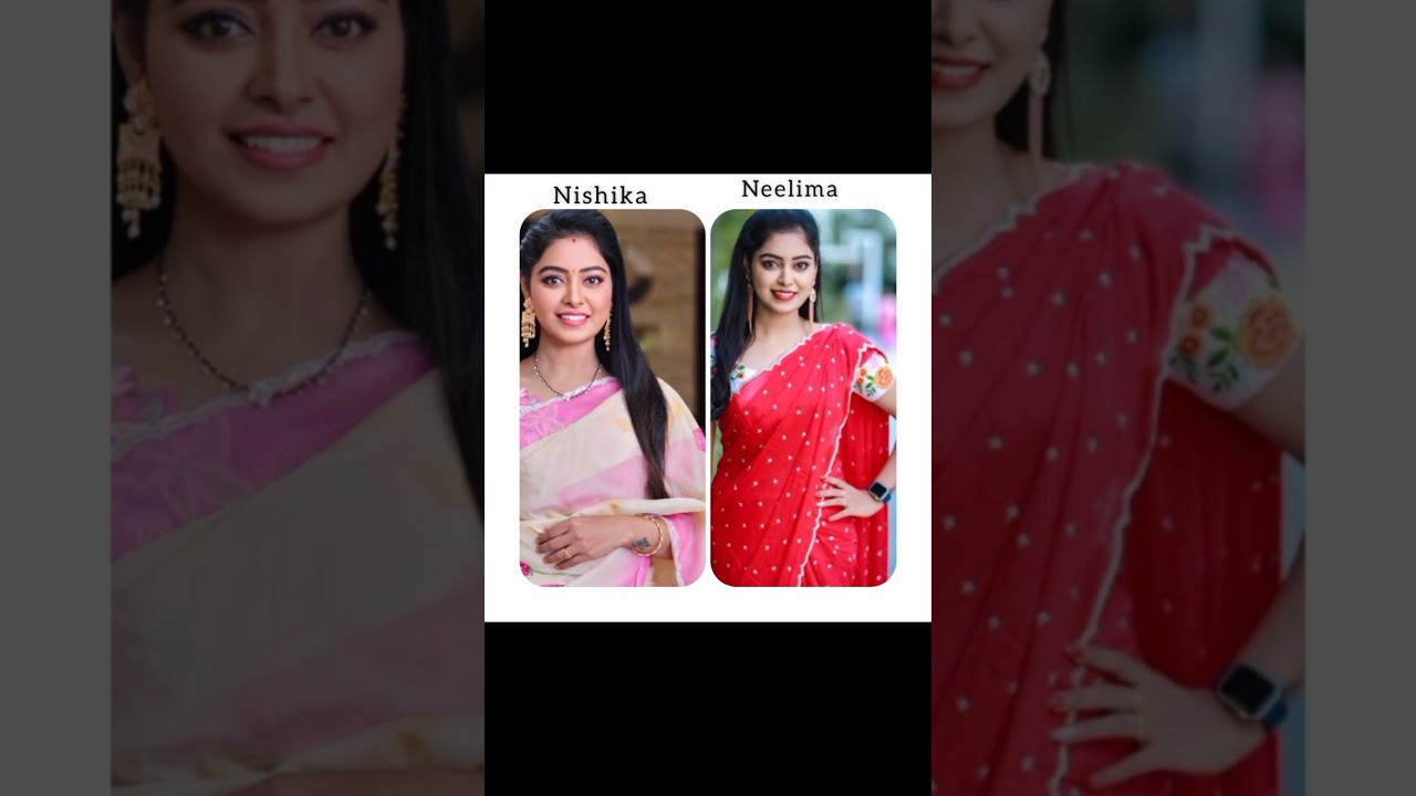 jagadhatri serial real names 