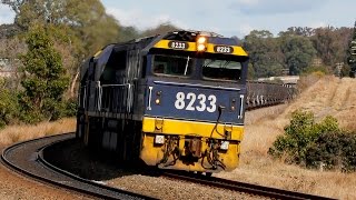 8233+8250+8236+8207 Pacific National Coal Train