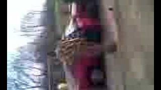 None (Video006.mpeg)