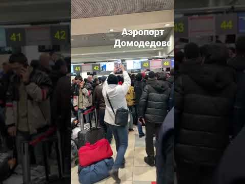 Аэропорт Домодедово