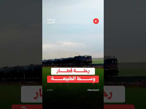 رحلة قطار وسط الطبيعة