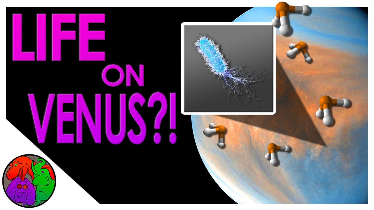 Could There Be Life On Venus YouTube could-there-be-life-on-venus-youtube